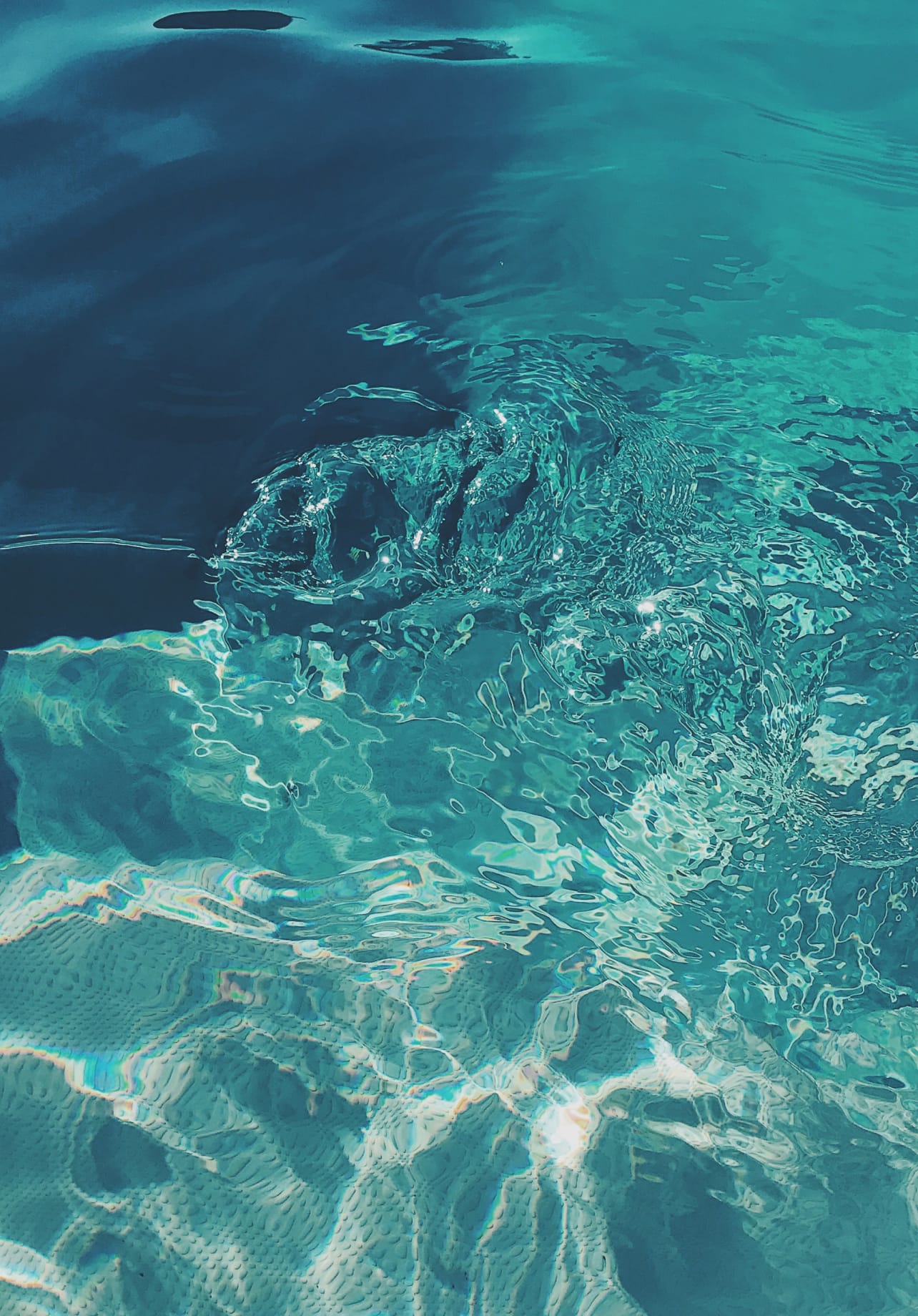 Cold plunge pool at Prosper Prospect Heights